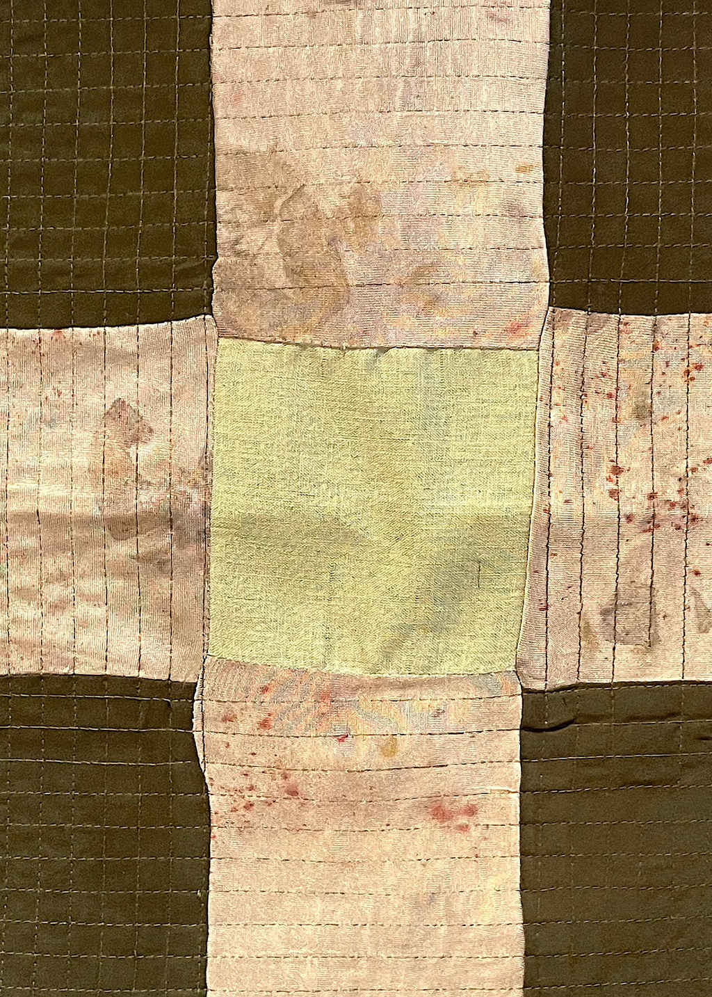 Orchid cross