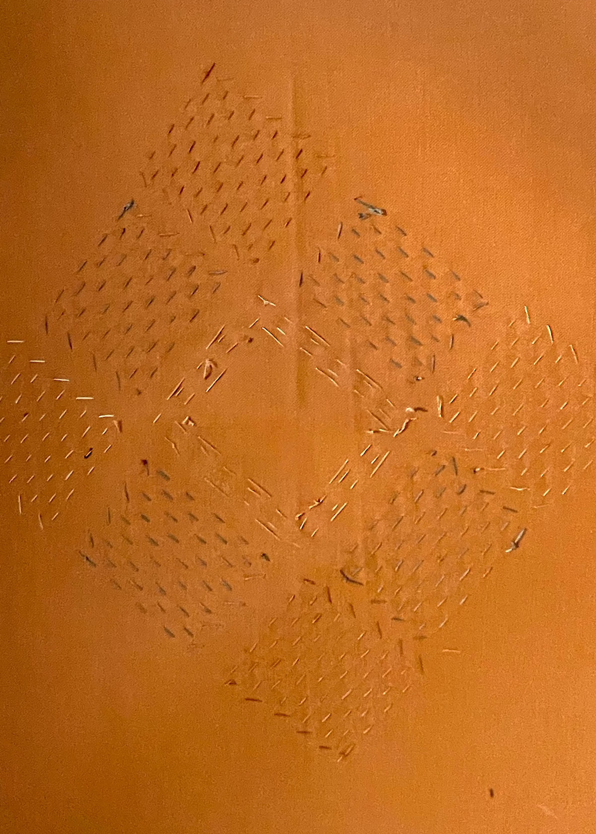 Tangerine Diamond
