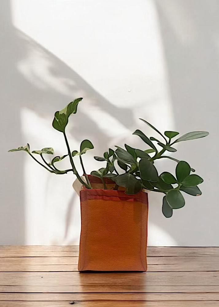 Orange Hamper
